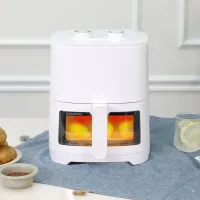 레이나 3.5L 할로겐 보이는 에어프라이어 RAF-W8135